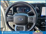 2024 Ford F-250 Crew Cab 4x4 Pickup for sale #50647A - photo 19