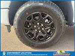 2025 Ford F-150 SuperCrew Cab 4x4 Pickup for sale #50886 - photo 10
