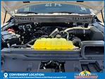 2025 Ford F-150 SuperCrew Cab 4WD Pickup for sale #51333 - photo 24