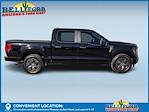 2025 Ford F-150 SuperCrew Cab RWD Pickup for sale #51479 - photo 6