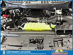 New 2025 Ford F-150 XL Regular Cab for sale #51585 - photo 33
