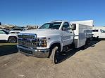 2024 Chevrolet Silverado 5500 Regular Cab DRW 2WD, Saw Body for sale #CF15216 - photo 1