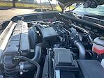 2024 Chevrolet Silverado 2500 Crew Cab 4WD Pickup for sale #P6990 - photo 12