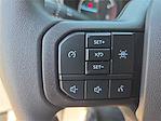 2025 Ford F-350 Crew Cab DRW 4x4 Cab Chassis for sale #146827 - photo 15
