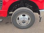 2025 Ford F-350 Crew Cab DRW 4WD Pickup for sale #1504271 - photo 6
