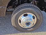 2025 Ford F-350 Crew Cab DRW 4WD Pickup for sale #1506360 - photo 7