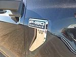 2025 Ford F-150 SuperCrew Cab 4WD Pickup for sale #1508083 - photo 20