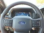 2025 Ford F-150 SuperCrew Cab 4x2 Pickup for sale #1512112 - photo 19