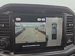 New 2025 Ford F-150 XLT SuperCrew Cab 4WD Pickup for sale #1512366 - photo 13