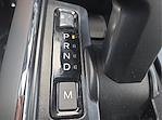 New 2025 Ford F-150 XLT SuperCrew Cab 4WD Pickup for sale #1512366 - photo 16