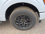 2025 Ford F-150 SuperCrew Cab 4WD Pickup for sale #1512443 - photo 7