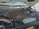 2025 Ford F-150 Regular Cab 4WD Pickup for sale #1516007 - photo 16