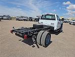 2025 Ford F-600 Regular Cab DRW 4WD Cab Chassis for sale #1516325 - photo 2