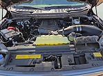 2025 Ford F-150 Regular Cab 4WD Pickup for sale #1516563 - photo 11
