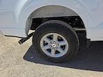 2025 Ford F-150 SuperCrew Cab 4WD Pickup for sale #1516742 - photo 8