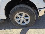 2025 Ford F-150 SuperCrew Cab 4WD Pickup for sale #1517211 - photo 7