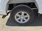 2025 Ford F-150 SuperCrew Cab 4WD Pickup for sale #1517320 - photo 8