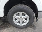 2025 Ford F-150 SuperCrew Cab 4x4 Pickup for sale #1519158 - photo 7