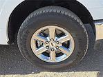 New 2025 Ford F-150 XLT SuperCrew Cab 4WD Pickup for sale #1524927 - photo 7