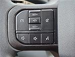 2025 Ford F-350 Crew Cab DRW 4x4 Pickup for sale #1525550 - photo 18