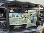 2025 Ford F-150 SuperCrew Cab 4x4 Pickup for sale #1527608 - photo 14