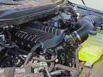 2025 Ford F-150 SuperCrew Cab 4x4 Pickup for sale #1527608 - photo 17