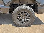 2025 Ford F-150 SuperCrew Cab 4x4 Pickup for sale #1531159 - photo 15