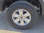 2025 Ford Ranger SuperCrew Cab 4x4 Pickup for sale #1532575 - photo 7
