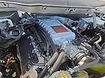 New 2025 Ford F-150 Raptor SuperCrew Cab for sale #1533503 - photo 21