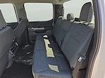 2025 Ford F-150 SuperCrew Cab 4WD Pickup for sale #1533881 - photo 10