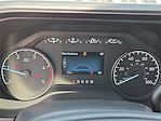 2025 Ford F-350 Crew Cab DRW 4x4 Cab Chassis for sale #1534454 - photo 18