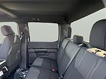 2025 Ford F-150 SuperCrew Cab 4x2 Pickup for sale #1539917 - photo 14