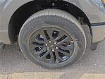 2025 Ford F-150 SuperCrew Cab 4WD Pickup for sale #1540212 - photo 7