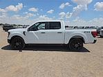 2025 Ford F-150 SuperCrew Cab 4x4 Pickup for sale #1543892 - photo 2