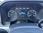 2025 Ford F-350 Crew Cab DRW 4x4 Pickup for sale #1548346 - photo 12