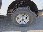 2025 Ford F-250 Crew Cab 4WD Pickup for sale #1548883 - photo 19