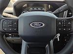 2025 Ford F-250 Crew Cab 4x4 Pickup for sale #1551808 - photo 20