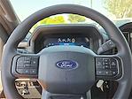 2025 Ford F-150 SuperCrew Cab 4x2 Pickup for sale #1553240 - photo 17