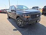 2025 Ford F-150 SuperCrew Cab 4x2 Pickup for sale #1553240 - photo 19