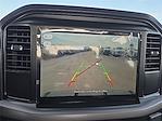 New 2025 Ford F-150 XL SuperCrew Cab 4WD Pickup for sale #1558236 - photo 13