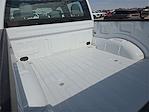 New 2025 Ford F-150 XL SuperCrew Cab 4WD Pickup for sale #1558236 - photo 8
