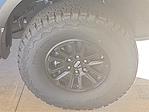 2025 Ford F-150 SuperCrew Cab 4WD Pickup for sale #1558888 - photo 20
