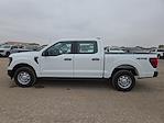 2025 Ford F-150 SuperCrew Cab 4WD Pickup for sale #1559221 - photo 2