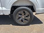 2025 Ford F-150 SuperCrew Cab 4x4 Pickup for sale #1559308 - photo 16