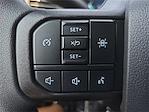 2025 Ford F-150 SuperCrew Cab 4x4 Pickup for sale #1560498M - photo 17