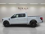 New 2025 Ford F-150 XLT SuperCrew Cab for sale #1562311 - photo 2