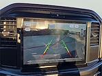 2025 Ford F-150 SuperCrew Cab 4WD Pickup for sale #1564500 - photo 13