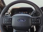 2025 Ford F-150 SuperCrew Cab 4x4 Pickup for sale #1564790 - photo 19