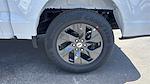 2025 Ford F-150 SuperCrew Cab 4x2 Pickup for sale #1564829 - photo 20