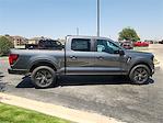 2025 Ford F-150 SuperCrew Cab 4x2 Pickup for sale #1564945 - photo 6